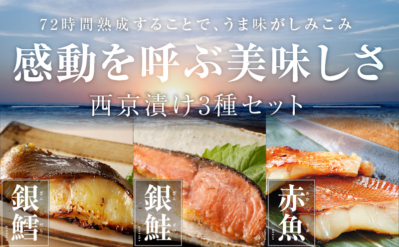 熟成西京漬け 3種16切れ 食べ比べセット（銀だら／銀鮭／赤魚）【惣菜 味噌 海産物 魚 小分け お酒のあて 訳あり サイズ不揃い 切り落とし】 099H3377