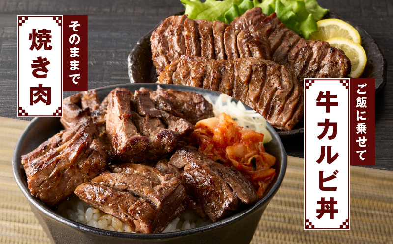 赤身カルビ ステーキ 1kg 焼肉用 500g×2P【氷温熟成×特製ダレ 牛肉 バラ 切り落とし 訳あり サイズ不揃い】