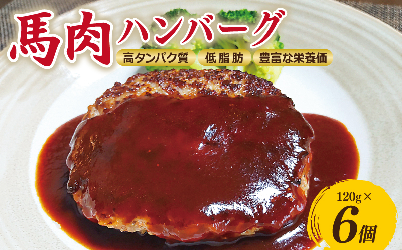 【特別規格】桜文 馬肉ハンバーグ 総量720g（120g×6個） 個包装 お試し 005A659