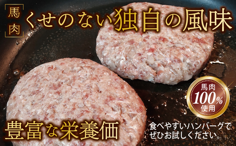 【特別規格】桜文 馬肉ハンバーグ 総量720g（120g×6個） 個包装 お試し 005A659