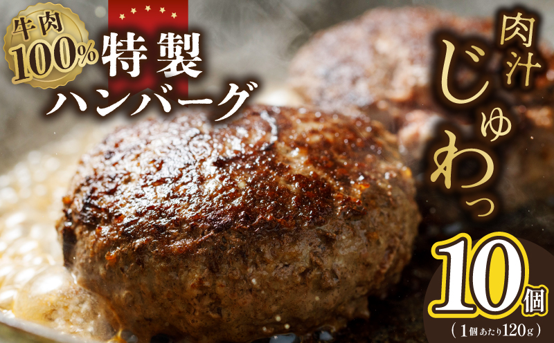 牛肉100％ 特製ハンバーグ 120g×10個 個包装 005A660