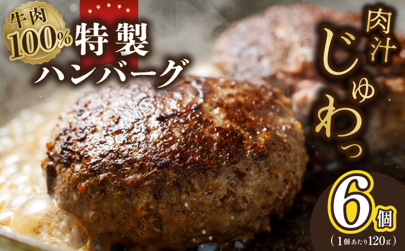 【特別規格】牛肉100％ 特製ハンバーグ 120g×6個 個包装 お試し 005A661