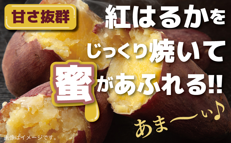 【特別規格】芋匠さのやのお芋スイーツ お芋ブリュレ 2個 お試し