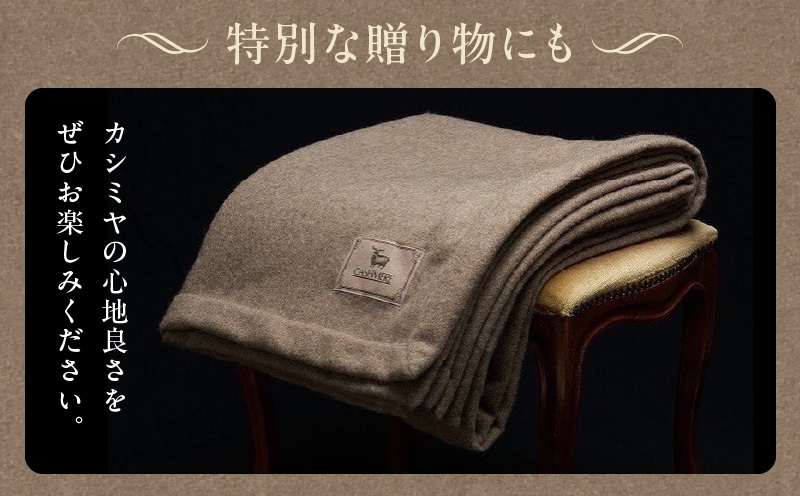 ã10ã»ããéå®ãã«ã·ãã€100% æé«çŽãã©ã³ã±ãã 1æãã·ã³ã°ã« 150cmÃ210cm å¯å
· èŽãç© ã®ãã ã«ã·ãã¢ãã©ãŠã³ å€§éª æ³äœé 倧éªåº æ³äœéåžã