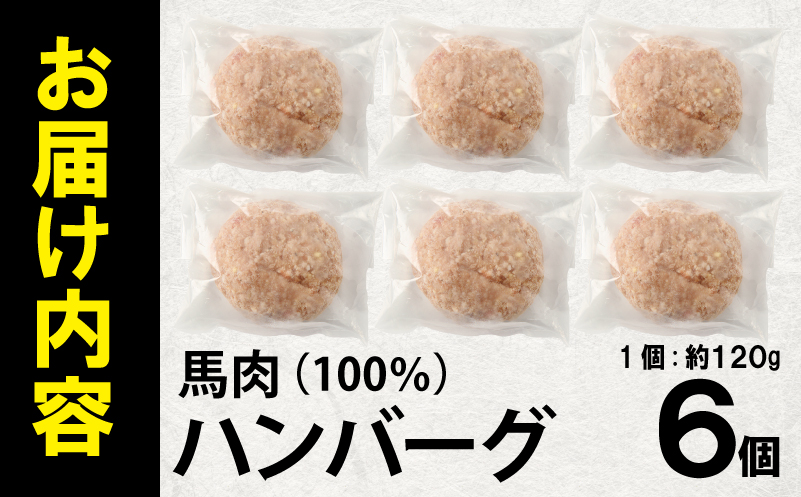 【特別規格】桜文 馬肉ハンバーグ 総量720g（120g×6個） 個包装 お試し 005A659