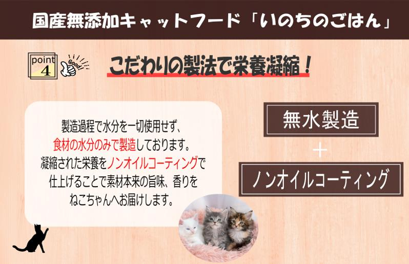 国産無添加 キャットフード 1kg「いのちのごはん」タンパク質 50％配合タイプ【猫 ねこ ペットフード チキン 手作り ヒューマングレード 国産】 020C396