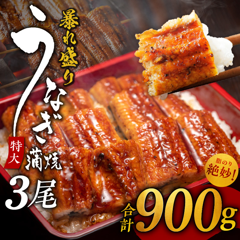 特大うなぎ 蒲焼き 暴れ盛り 合計 900g【鰻 300g×3尾 真空パック 簡単調理 訳あり サイズ不揃い 人気 惣菜 うな重 うな丼 ひつまぶし にも】 020C395