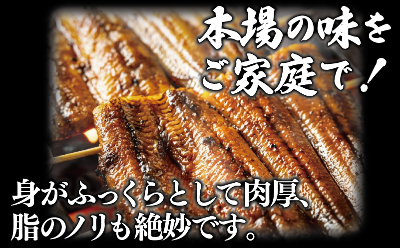 特大うなぎ 蒲焼き 暴れ盛り 合計 900g【鰻 300g×3尾 真空パック 簡単調理 訳あり サイズ不揃い 人気 惣菜 うな重 うな丼 ひつまぶし にも】 020C395