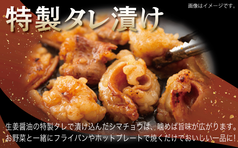 牛シマチョウ 焼肉用 塩麹・タレ漬けセット 合計1.5kg【味付け 小分け 焼くだけ 簡単調理 BBQ 牛肉 ホルモン 250g×6袋 普段使い】