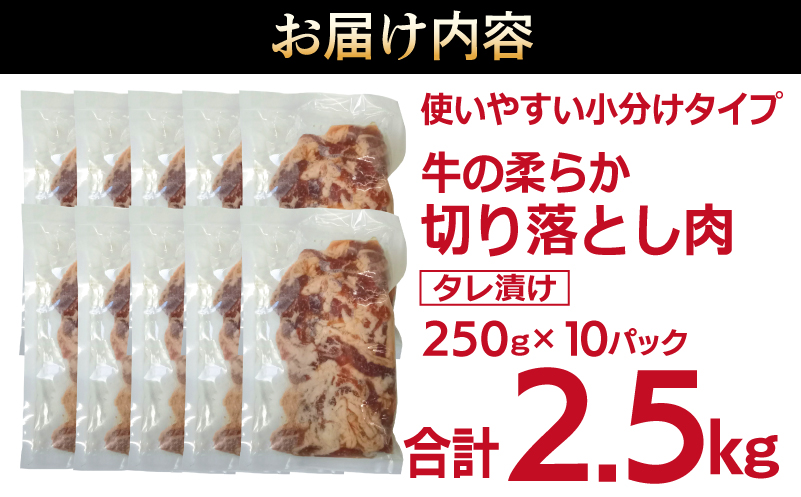 牛肉 切り落とし タレ漬け 合計2.5kg【味付け 小分け 焼くだけ 簡単調理 BBQ 牛肉 250g×10袋】 099H3383