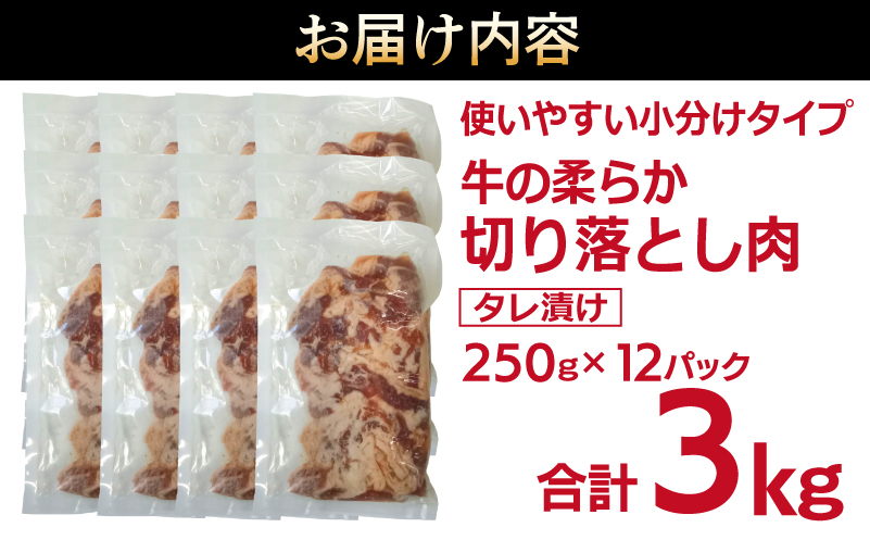 牛肉 切り落とし タレ漬け 合計3kg【味付け 小分け 焼くだけ 簡単調理 BBQ 牛肉 250g×12袋】 099H3384