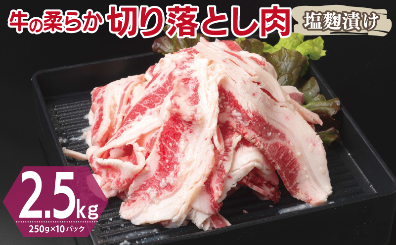 牛肉 切り落とし 塩麹漬け 合計2.5kg【味付け 小分け 焼くだけ 簡単調理 BBQ 牛肉 250g×10袋】 099H3387