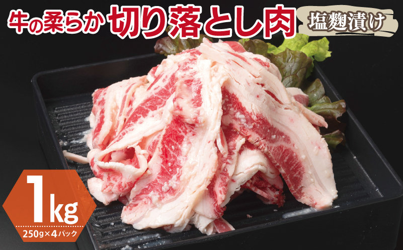 牛肉 切り落とし 塩麹漬け 合計1kg【味付け 小分け 焼くだけ 簡単調理 BBQ 牛肉 250g×4袋】 099H3389