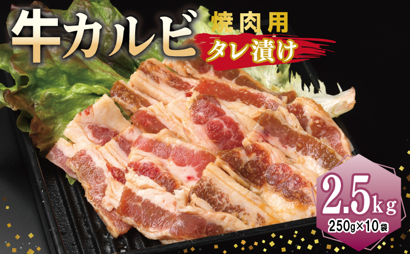 牛カルビ 焼肉用 タレ漬け 合計2.5kg【味付け 小分け 焼くだけ 簡単調理 BBQ 牛肉 250g×10袋】 099H3391