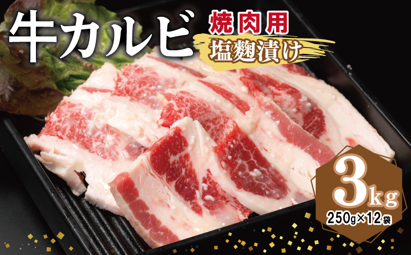 牛カルビ 焼肉用 塩麹漬け 合計3kg【味付け 小分け 焼くだけ 簡単調理 BBQ 牛肉 250g×12袋】 099H3395