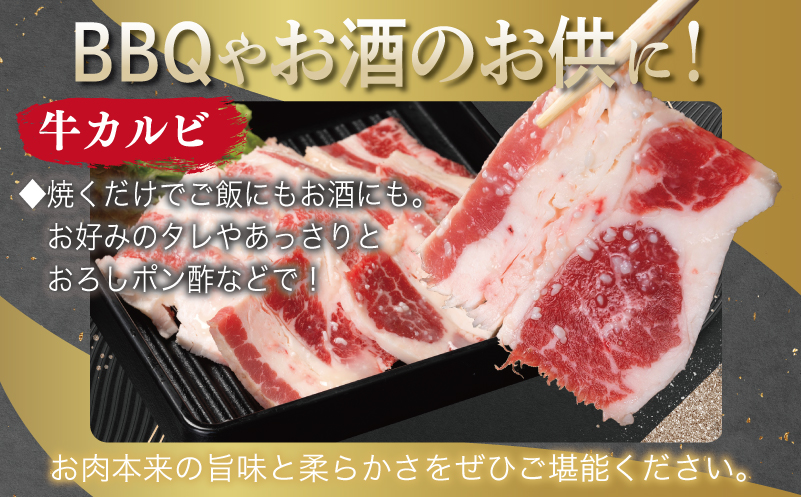 牛カルビ＆シマチョウ 塩麹漬け 焼肉セット 合計3kg【味付け 小分け 焼くだけ 簡単調理 BBQ 250g×12袋 牛肉 ホルモン】 099H3397