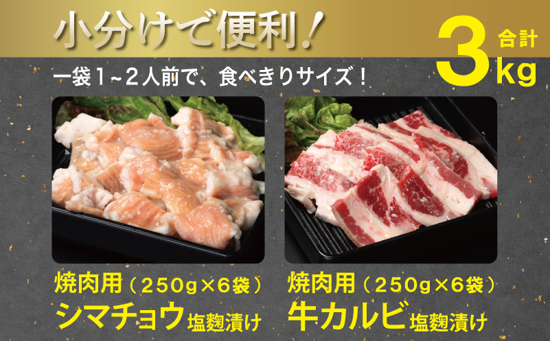 牛カルビ＆シマチョウ 塩麹漬け 焼肉セット 合計3kg【味付け 小分け 焼くだけ 簡単調理 BBQ 250g×12袋 牛肉 ホルモン】 099H3397