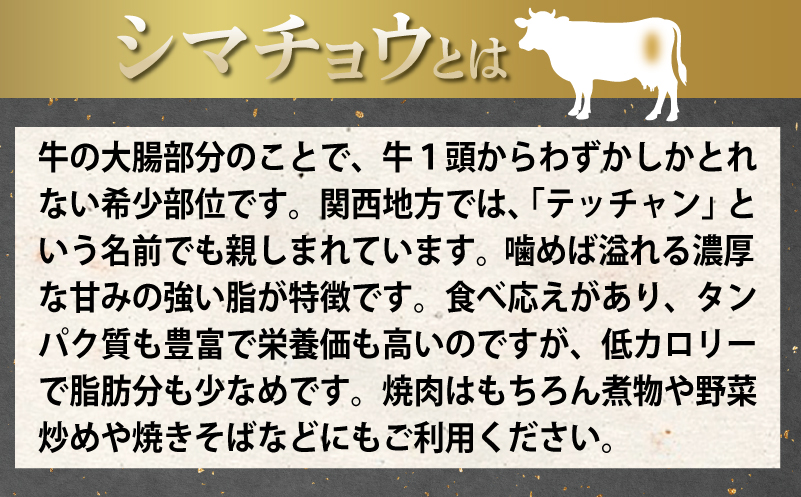 牛カルビ＆シマチョウ 塩麹漬け 焼肉セット 合計3kg【味付け 小分け 焼くだけ 簡単調理 BBQ 250g×12袋 牛肉 ホルモン】 099H3397