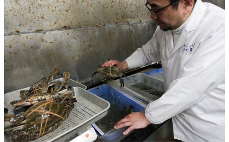 【母の日】わたりがに料理 割烹松屋 極上かに飯（上）と蒸し蟹