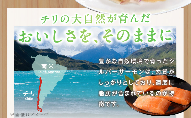 【訳あり】生食用 シルバーサーモン 1kg ポーション【小分け 2-4柵 サイズ不揃い 銀鮭 刺身用 お刺身 魚介 海鮮】 010B1620