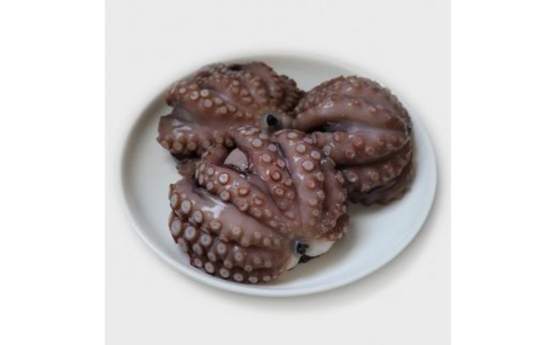 洗い泉州タコ1ｋｇ