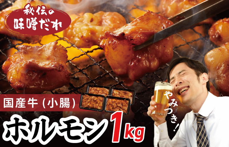 国産 牛肉 ホルモン 1kg 味噌だれ漬け 焼肉用 小分け 250g×4P【牛肉 焼肉用 焼くだけ 小分け BBQ やきにく 数量限定】 010B1519