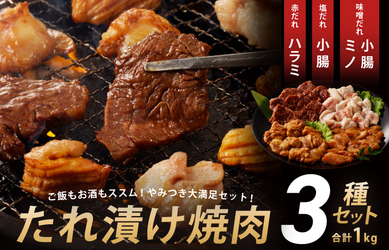 アキラ商店 3種盛り合わせセット 合計 1kg 焼肉用ホルモン 牛肉 ハラミ ミノ 小腸 010B506