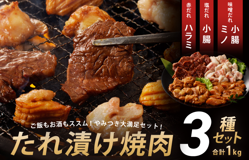 アキラ商店 3種盛り合わせセット 合計 1kg【焼肉用ホルモン 牛肉 ハラミ ミノ 小腸 焼くだけ 小分け BBQ やきにく 数量限定】 010B1521