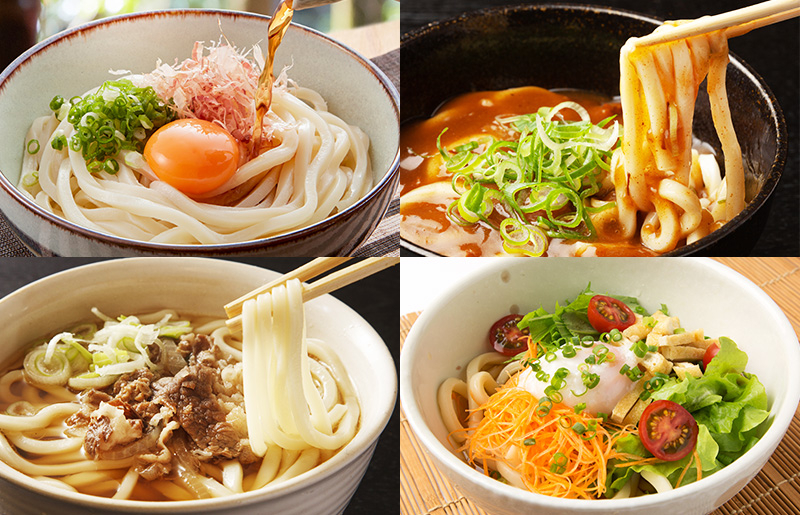 麺名人 なにわうどん（5食×3パックセット）【冷凍うどん 簡単調理 麺 一人暮らし】