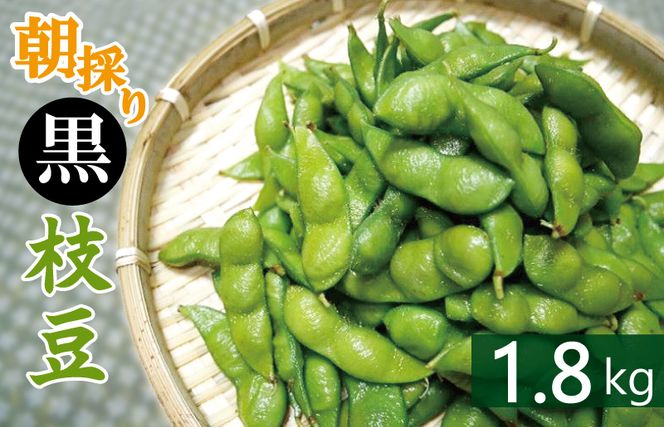 【畑から直送 朝採り】黒枝豆 1.8kg 【新鮮 野菜 泉佐野産 えだまめ やさい TONOファーム 高評価 数量限定 先行予約】 G1102