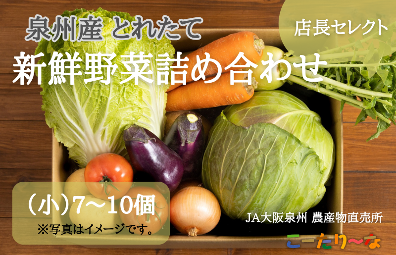 JA大阪泉州 直売所店長セレクト 新鮮野菜セット【7～10個 詰め合わせ 泉佐野産 とれたて 新鮮野菜 やさい 高評価 数量限定】 005A178