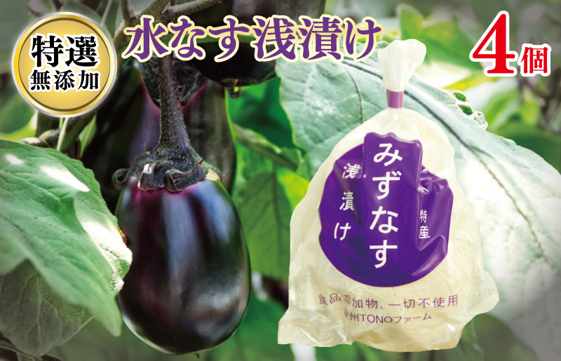 特選 無添加 水なす漬け 4個【新鮮 野菜 泉佐野産 茄子 やさい TONOファーム 高評価 数量限定 先行予約】 G1100