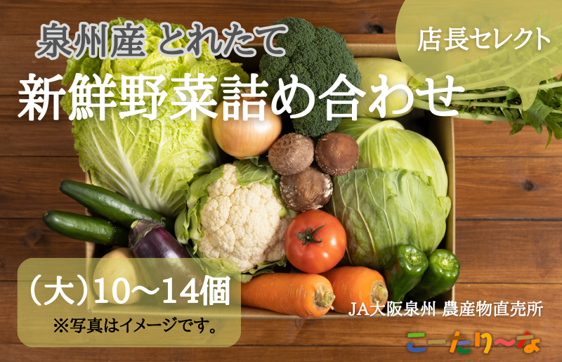 JA大阪泉州 直売所店長セレクト 新鮮野菜セット【10～14個 詰め合わせ 泉佐野産 とれたて 新鮮野菜 やさい 高評価 数量限定】 099H139