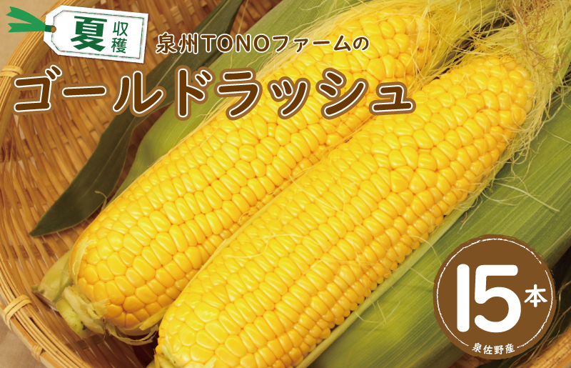 ゴールドラッシュ 15本【新鮮 野菜 泉佐野産 とうもろこし コーン やさい TONOファーム 数量限定 先行予約】 G1107