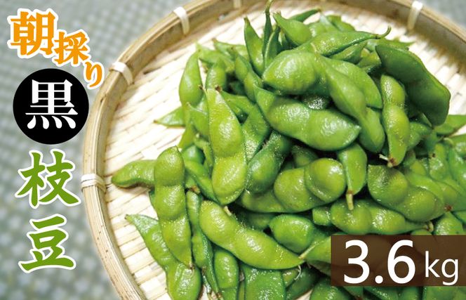 【畑から直送 朝採り】黒枝豆 3.6kg 【新鮮 野菜 泉佐野産 えだまめ やさい TONOファーム 高評価 数量限定 先行予約】 G1108