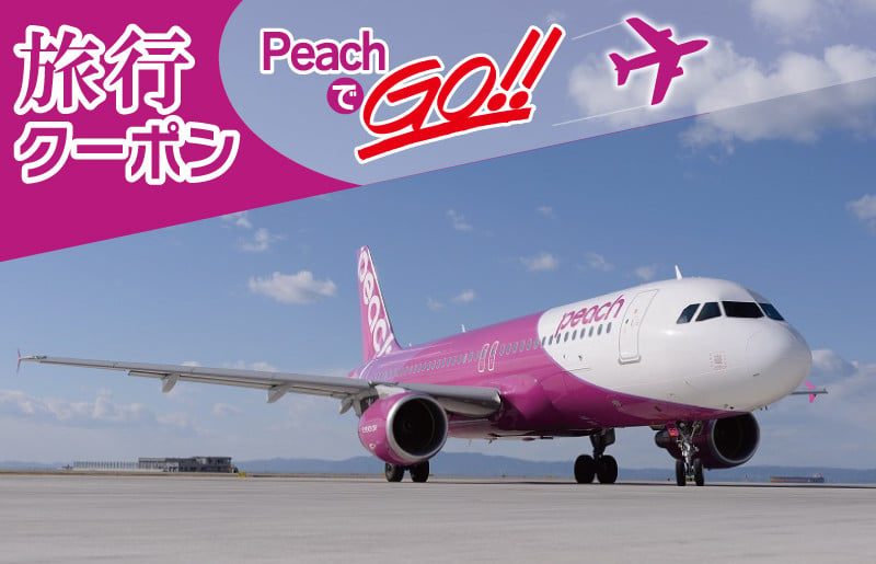 PeachでGo！！（泉佐野市内宿泊編）旅行クーポン（30,000円分） 100F019