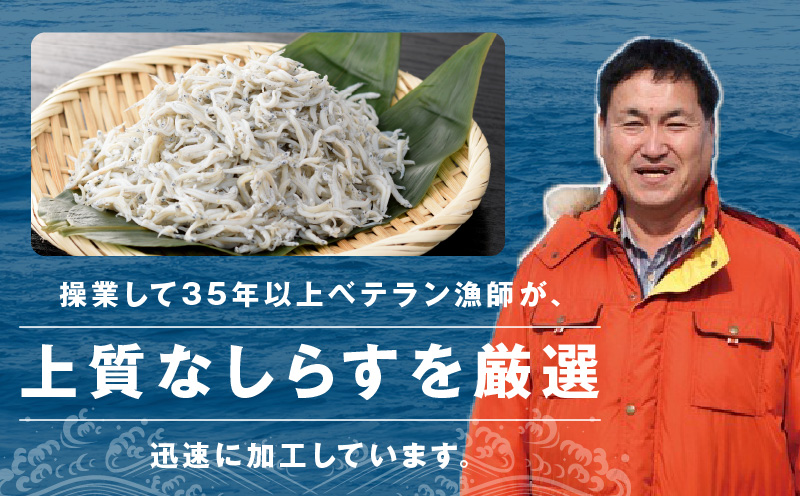 釜揚げしらす＆ちりめん山椒セット 計600g【小分け ちりめん シラス しらす sirasu 海鮮 セット 人気 おすすめ 産地直送】