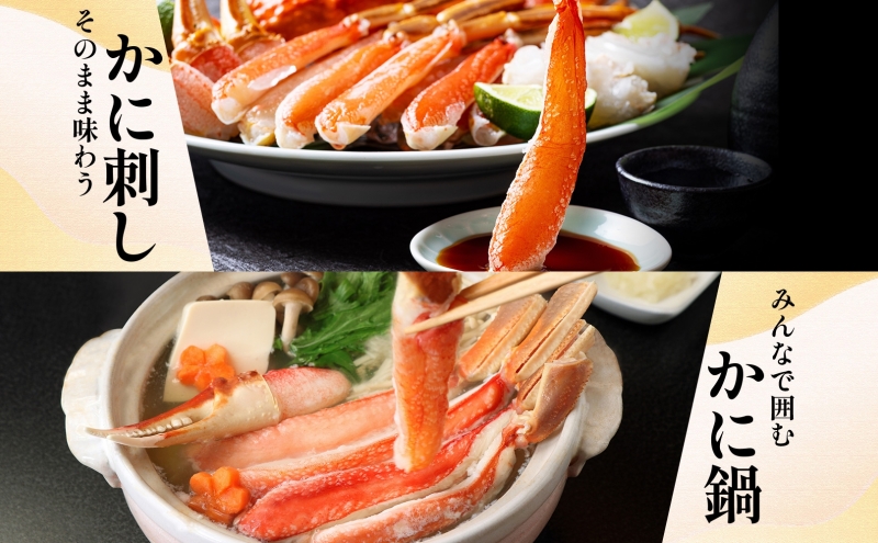 【北国からの贈り物】本ズワイガニ ポーション 1.5kg前後 生食可 蟹酢付 約 6-9人前 昆布塩加工 しゃぶしゃぶ 訳あり かに カニ ズワイガニ 脚 ズワイ蟹 ずわい蟹 ずわいがに むき身 生食 刺身 蟹肉 鍋