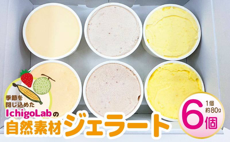 自然素材 ジェラート 6個 食べ比べ【アイス スイーツ 季節のじぇらーと いちご メロン トウモロコシ IchigoLab】
