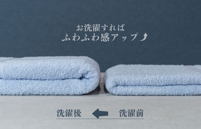 カラーバスタオル 4枚 （ブルー）【泉州タオル 国産 吸水 普段使い シンプル 日用品 家族 ファミリー】
