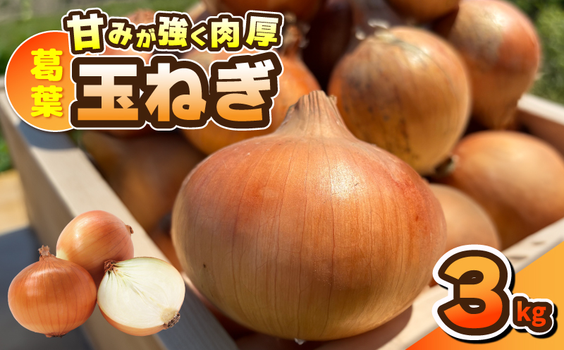 葛葉玉ねぎ 3kg【10玉程度 泉佐野市 泉州たまねぎ 肉厚 甘い 大阪 泉佐野 大阪府 泉佐野市】