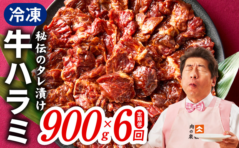 【定期便】牛ハラミ肉 900g×全6回【小分け 300g×3P 秘伝の赤タレ 味付き 焼肉 訳あり サイズ不揃い 毎月配送コース】