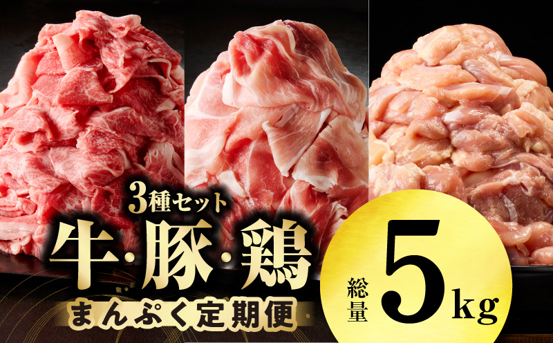国産 牛肉＆豚肉＆鶏肉 まんぷく 定期便 5kg×2回【氷温熟成×極味付け 3種 食べ比べ 普段使い 味付き 小分け 訳あり サイズ不揃い 毎月配送コース】