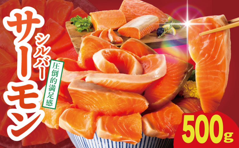 【お試し】サーモン 500g ポーション【訳あり サイズ不揃い 刺身 海鮮丼 さーもん サラダ カルパッチョ 鮭 さけ シャケ しゃけ 人気 小分け 冷凍 家計応援 スピード発送 大阪 泉佐野 大阪府 泉佐野市】
