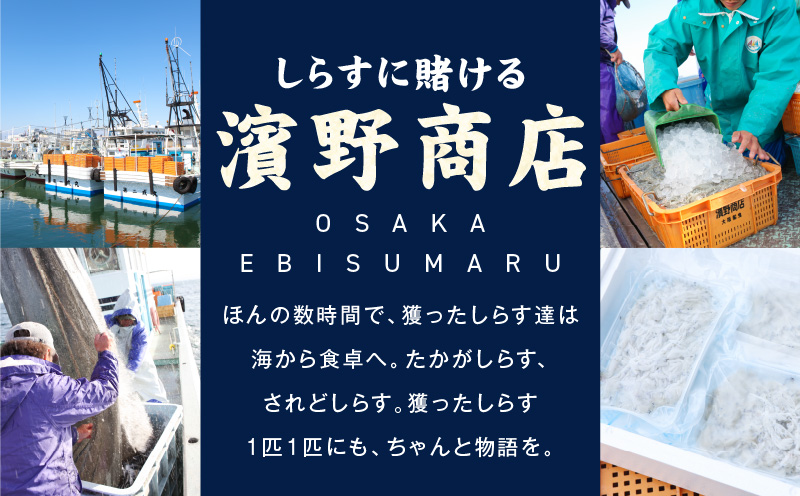 【スピード発送】新物！泉州生しらす「煌（きらめき）」300g【小分け 100g×3P 漁師直送 シラス 国産 無添加 産地直送 sirasu 海鮮 しらす 鰯 イワシ いわし 大阪 泉佐野 大阪府 泉佐野市】