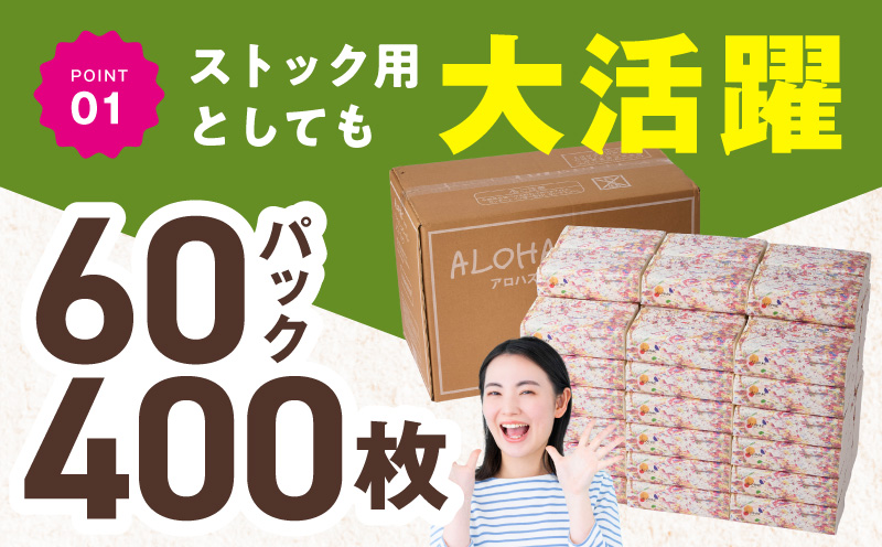 【定期便】 ソフトパックティッシュ400枚×60パック & トイレットペーパー シングル 85M巻×64ロールセット【生活用品 雑貨 日用品 必需品 常備品 まとめ買い 備蓄 防災】