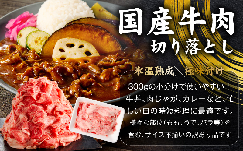 国産 牛豚鶏 4種セット 4kg【氷温熟成×極味付け 牛肉 豚肉 鶏肉 もも むね 食べ比べ 普段使い 味付き 小分け 訳あり サイズ不揃い】
