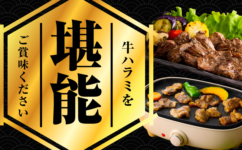 【満足牛ハラミ】甘辛タレ漬け 400g【味付け ハラミ 小分け 焼くだけ 簡単調理 BBQ 牛肉 200g×2P 普段使い】