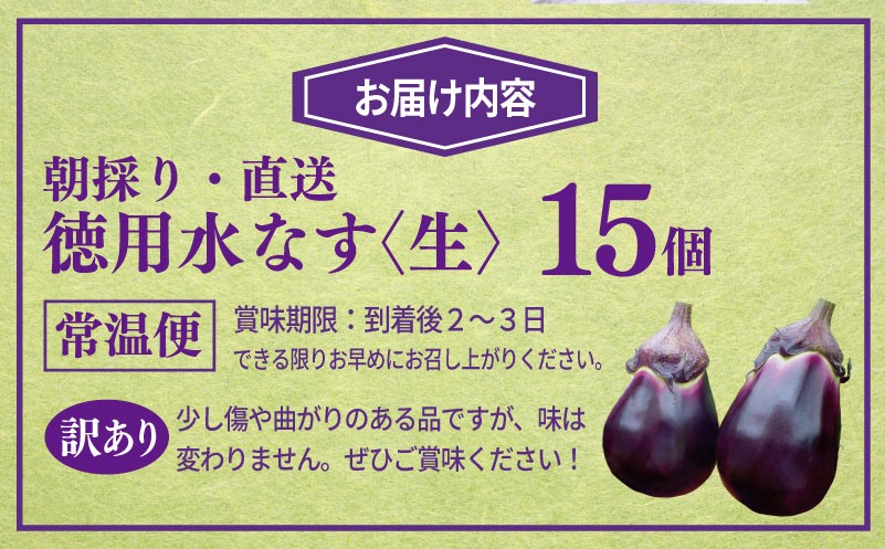 【先行予約】朝採り直送 徳用水なす 15個 訳あり 規格外