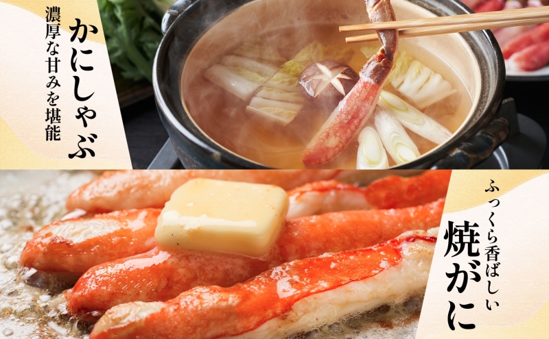 【北国からの贈り物】本ズワイガニ ポーション 1.5kg前後 生食可 蟹酢付 約 6-9人前 昆布塩加工 しゃぶしゃぶ 訳あり かに カニ ズワイガニ 脚 ズワイ蟹 ずわい蟹 ずわいがに むき身 生食 刺身 蟹肉 鍋